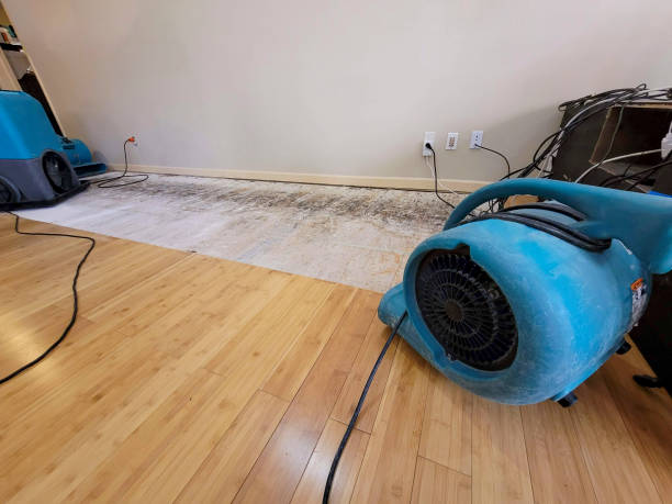 Professional Basement Flood Cleanup technician working in Peytona, WV